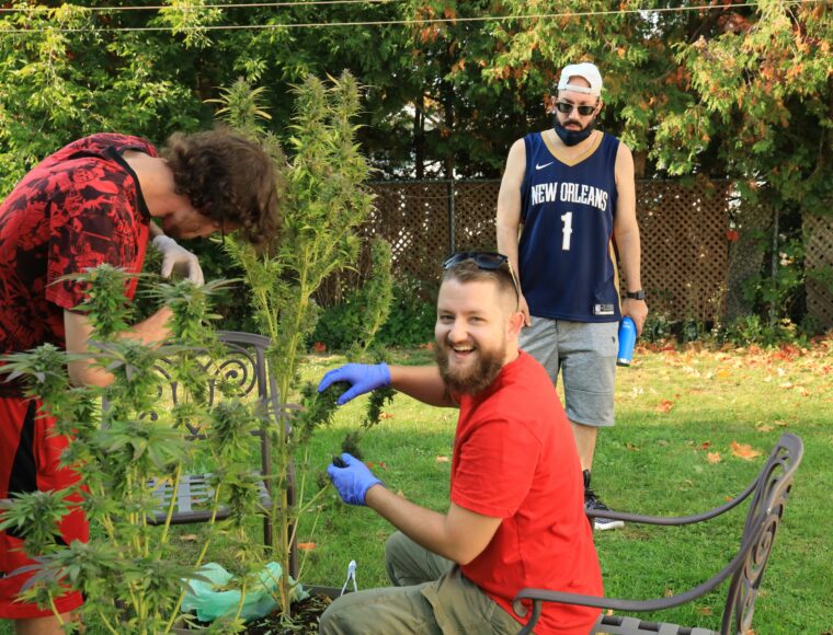 Image with three people working in a garden